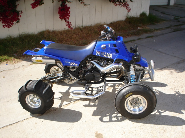gallery_11157_455_102871.jpg