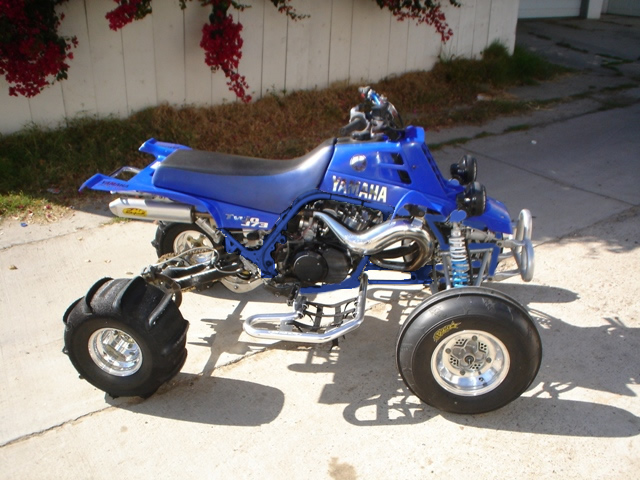 gallery_11157_455_12113.jpg