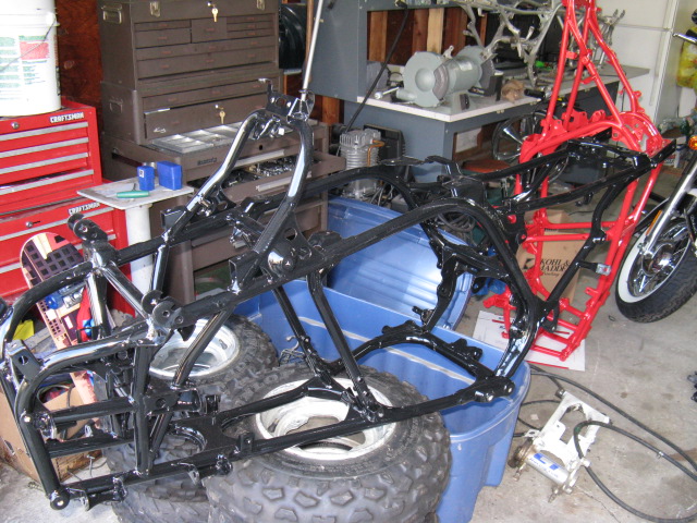 gallery_1980_39_111509.jpg