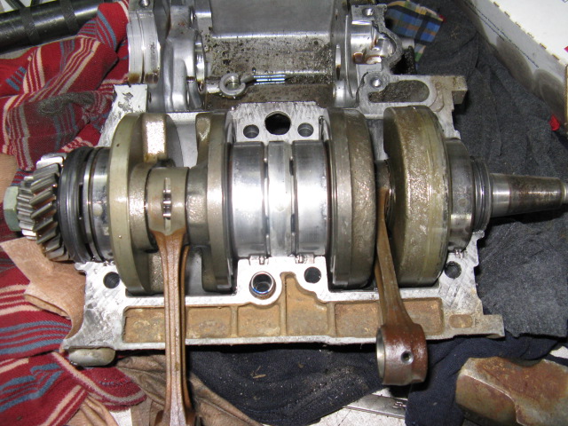 gallery_1980_39_127345.jpg