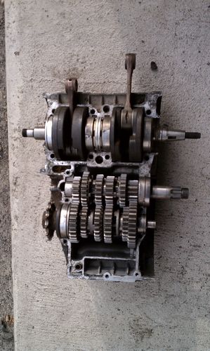 gallery_13010_1473_161222.jpg
