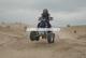 crbanshee