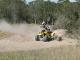 snedden9485