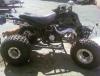 Badazzbanshee01