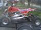 trex565