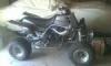 sheeowner31