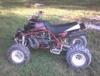 D Bone 816