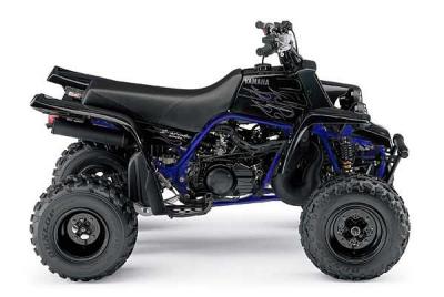 black_and_blue_banshee_copy.jpg