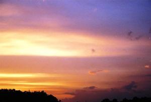 0840727-R1-034-15A1.jpg