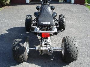 pic yax.jpg
