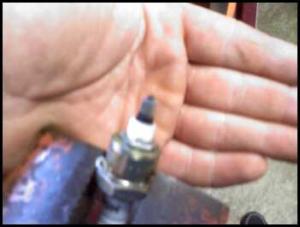 post-40306-0-90762100-1318347839_thumb.jpeg