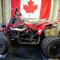 Canadianshee