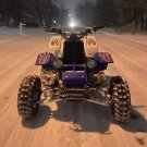 Djj624