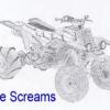 shee screams