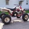 Banshee Gorilla 06