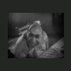 OLD FART