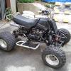 dutchy954