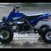 bluedemon