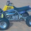 984mmshee