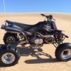 Dunetigger