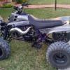 shane223